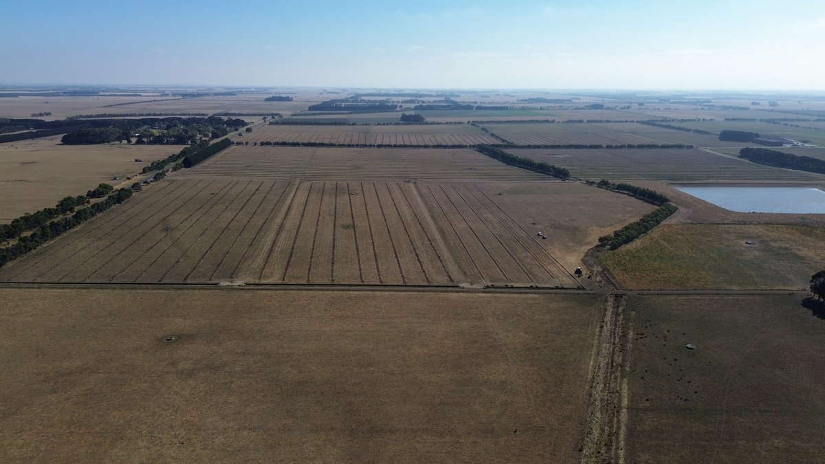 Question for WA farmers 🇦🇺

Do you know anyone locally who does tile drainage design work? If so, could you please pass along? Thank you in advance!

#askagtwitter #agtwitter