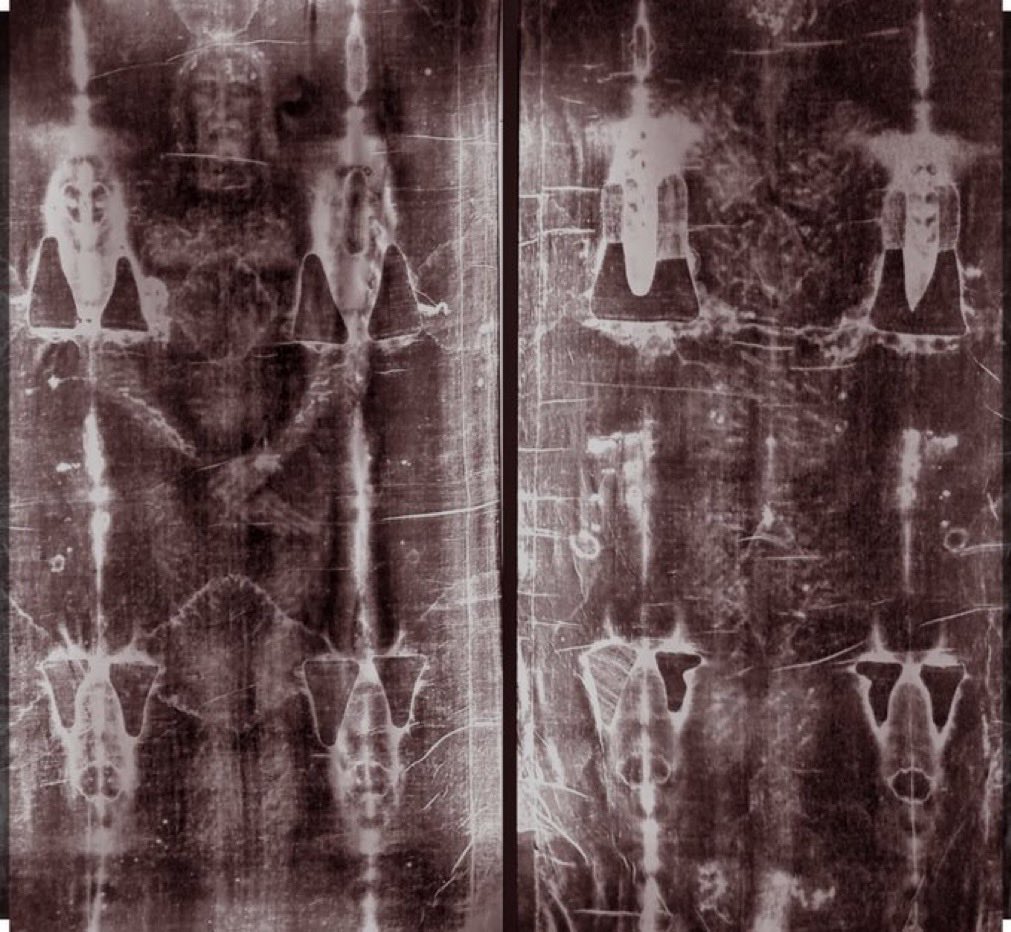 realCarola2Hope's tweet image. Protestantes: «No os haréis imágenes de nada, eso es idolatría». 

Dios: