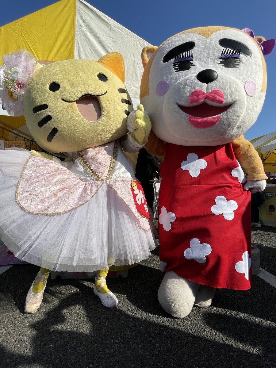 みっけちゃん™️【公式】💙💛🤟🏳️‍🌈大阪府枚方市PR大使 (@mikkeichi