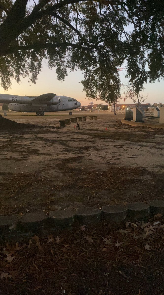 Psychito tweet media