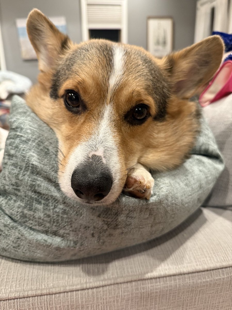 jetpackjoe_'s tweet image. 