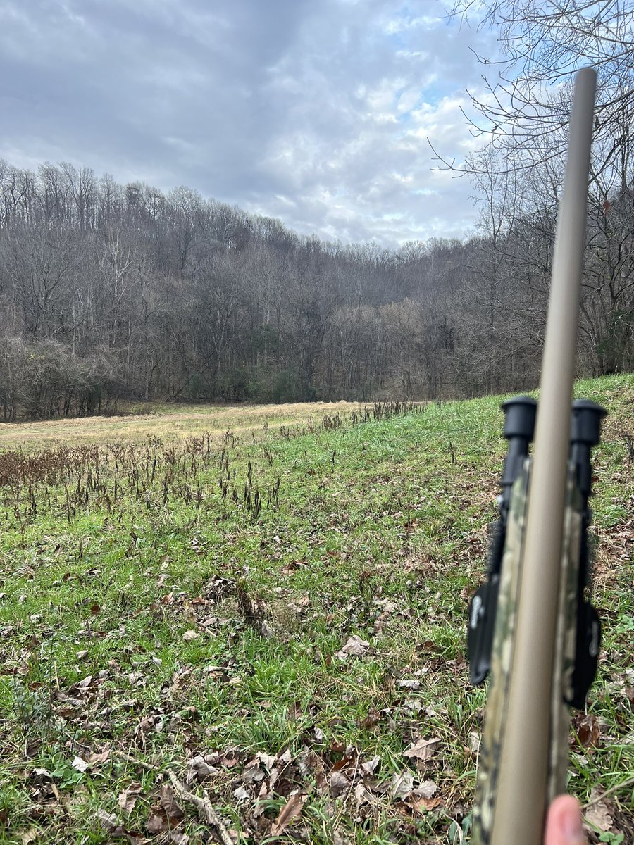 “In a civilized and cultivated country, wild animals only continue to exist at all when preserved by sportsmen.”

Teddy Roosevelt