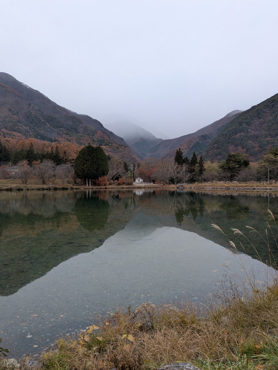 おはようございます。
今朝の #駒ヶ根 は曇りです。
山の上はきっと雪が降っているでしょう⛄️

たくさんの方にお楽しみいただいた #駒ヶ根高原 の #紅葉 は終了しました。
 ご来場いただいた皆さま、ありがとうございました！🙇

今日も1日、行ってらっしゃい！