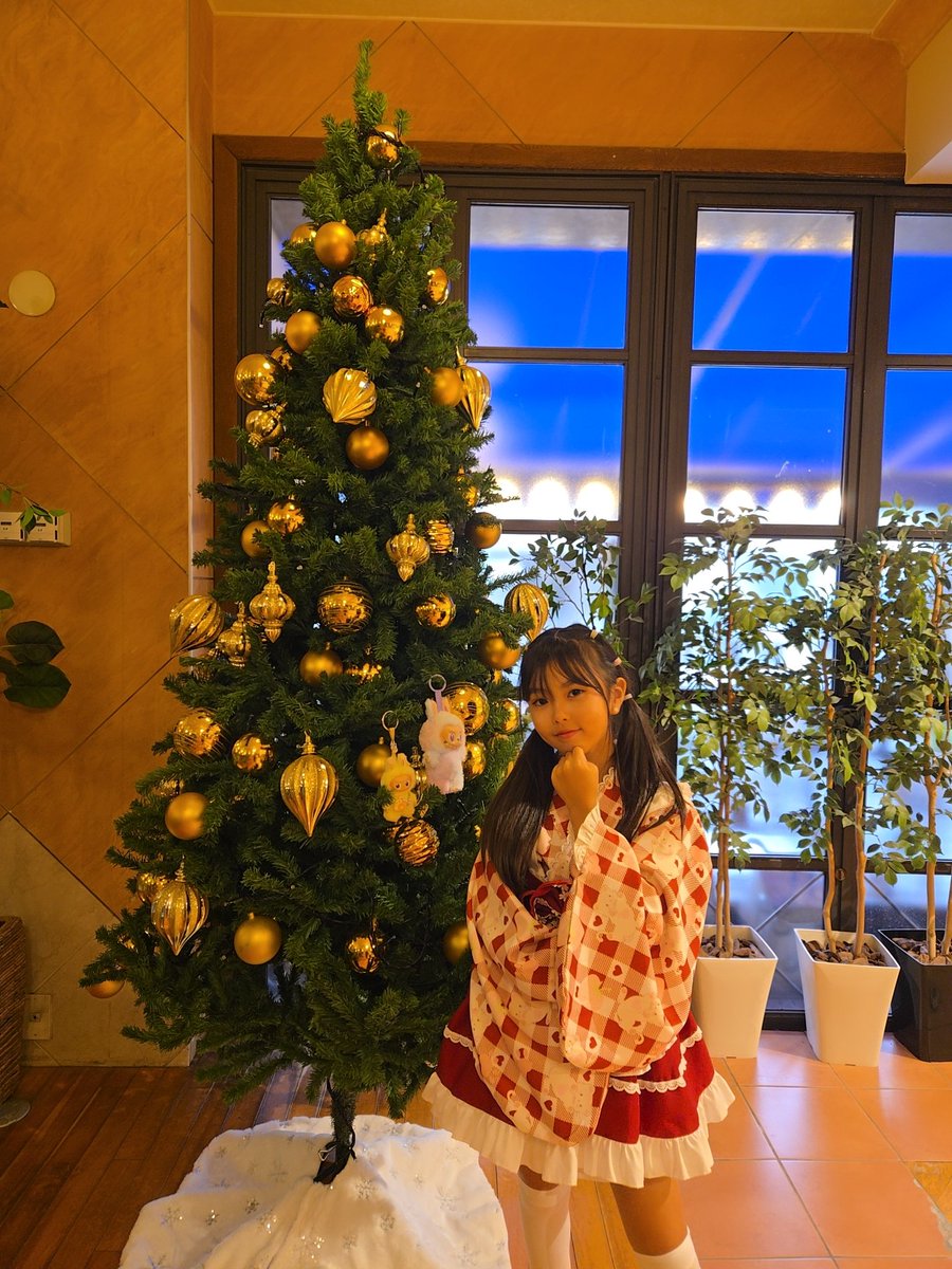 ふーにゃ (@fuari73) / Posts / X