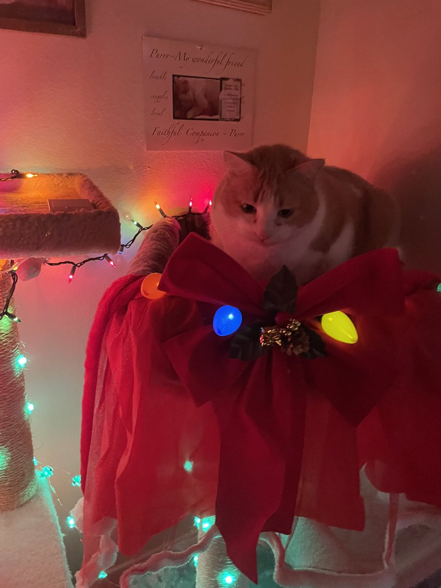 Laurabelle96Lm's tweet image. 