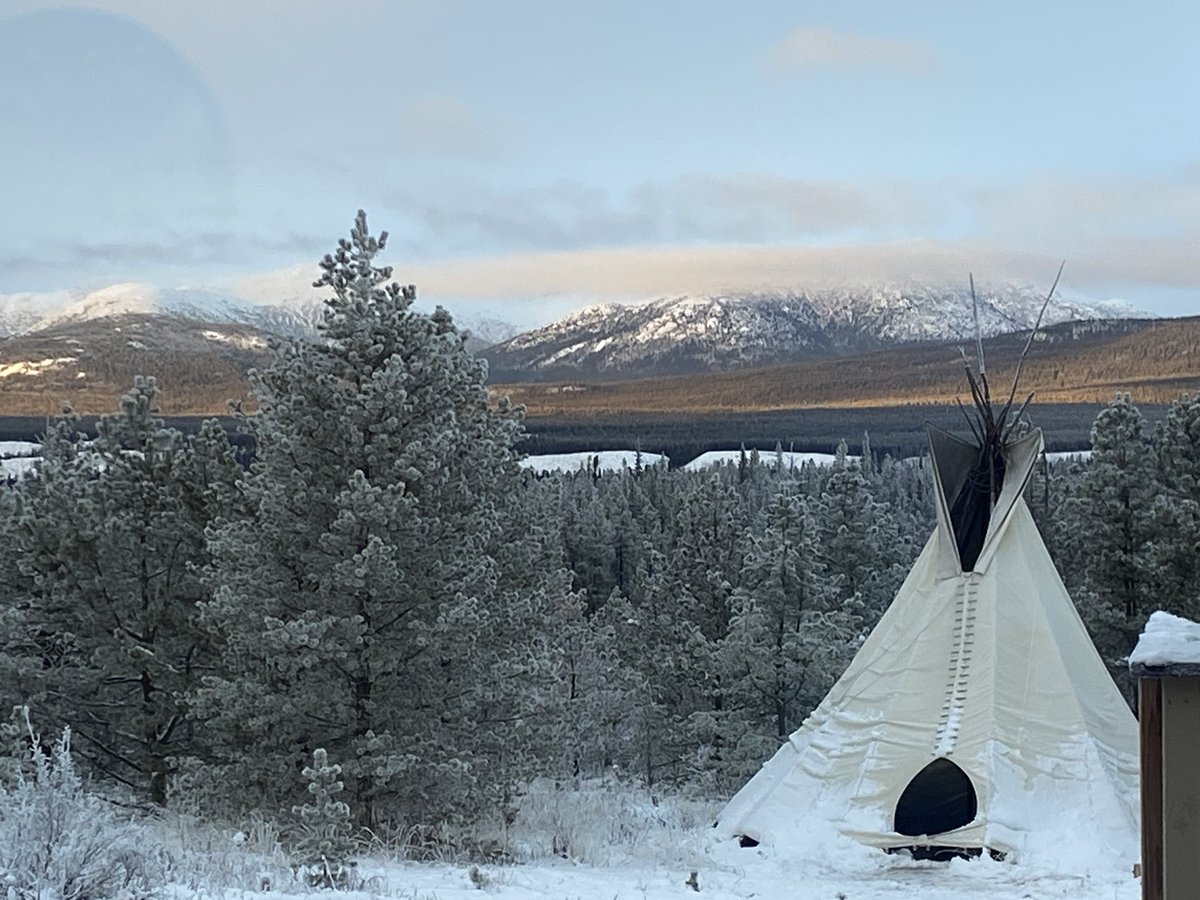 Taizo (@Taizo1959) / Posts / X