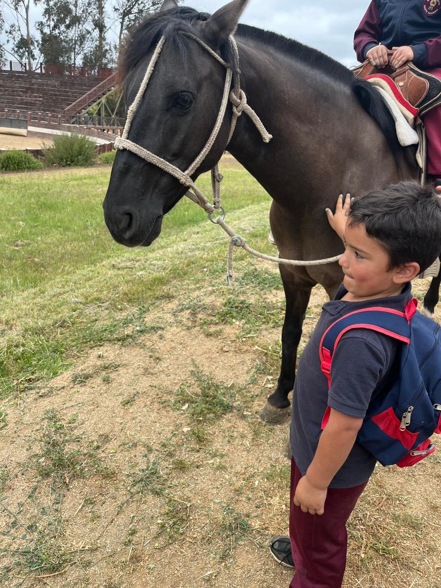Escuela El Convento tweet media