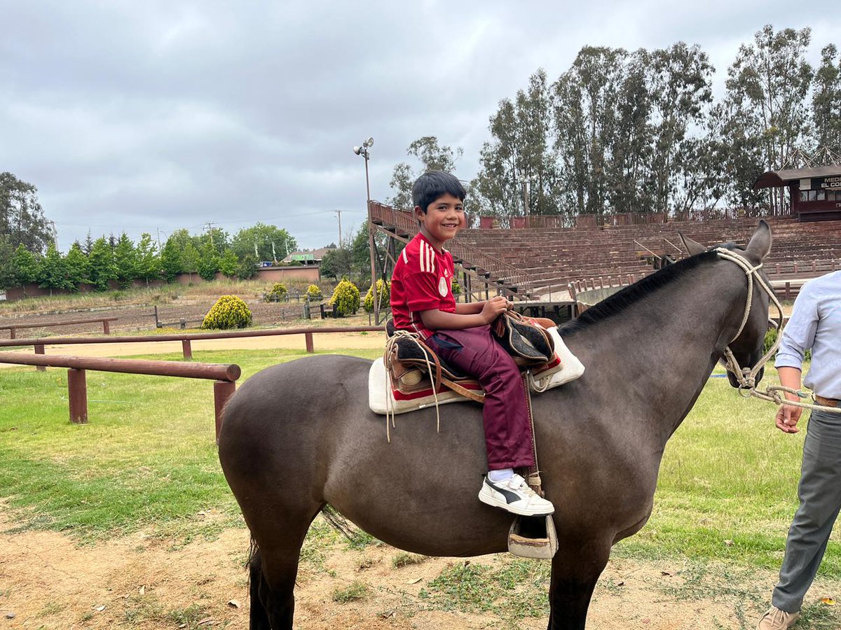 Escuela El Convento tweet media
