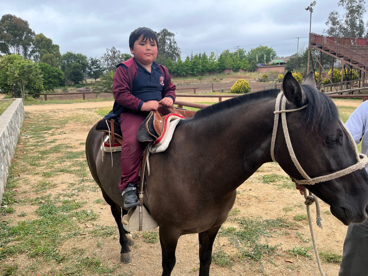 Escuela El Convento tweet media