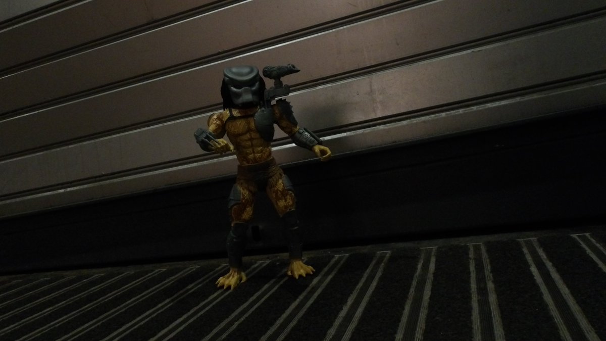 SuperL47072's tweet image. Hunting in the concrete jungle. He&apos;s in town with a few days to kill.

Action figure photography by me.

#predator #actionfigurephotography #toyphotography