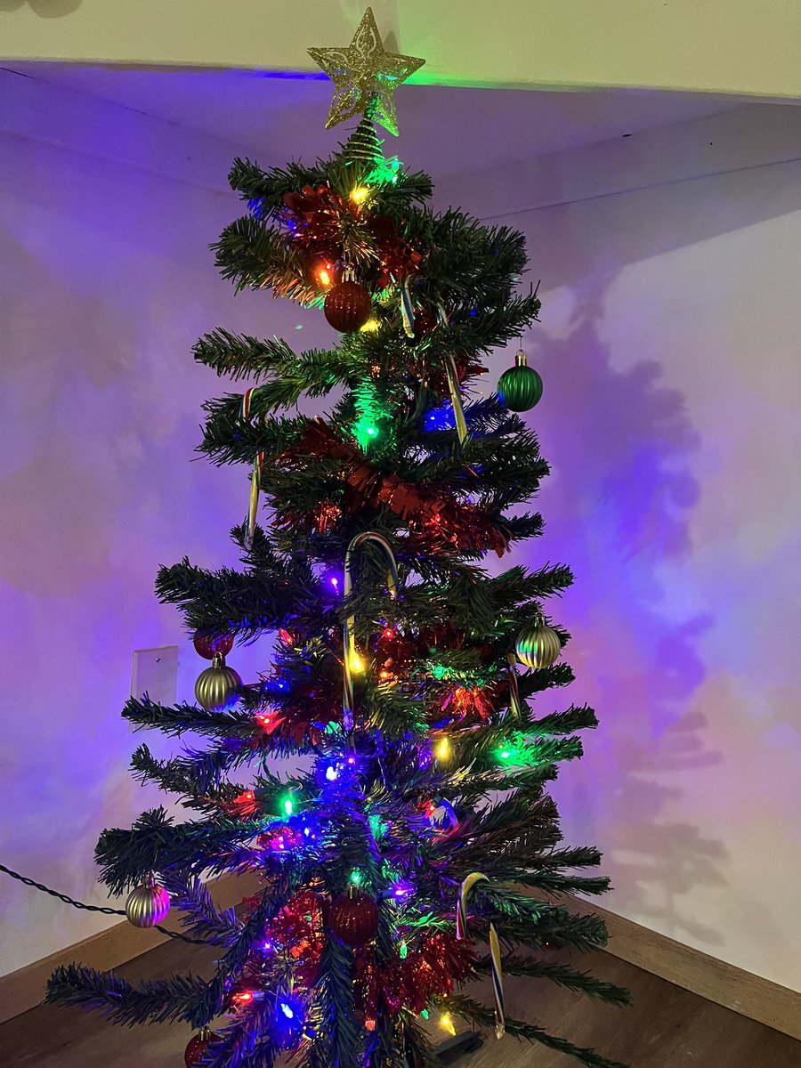 s0ulst4tic's tweet image. guys look at my lil tree 😌