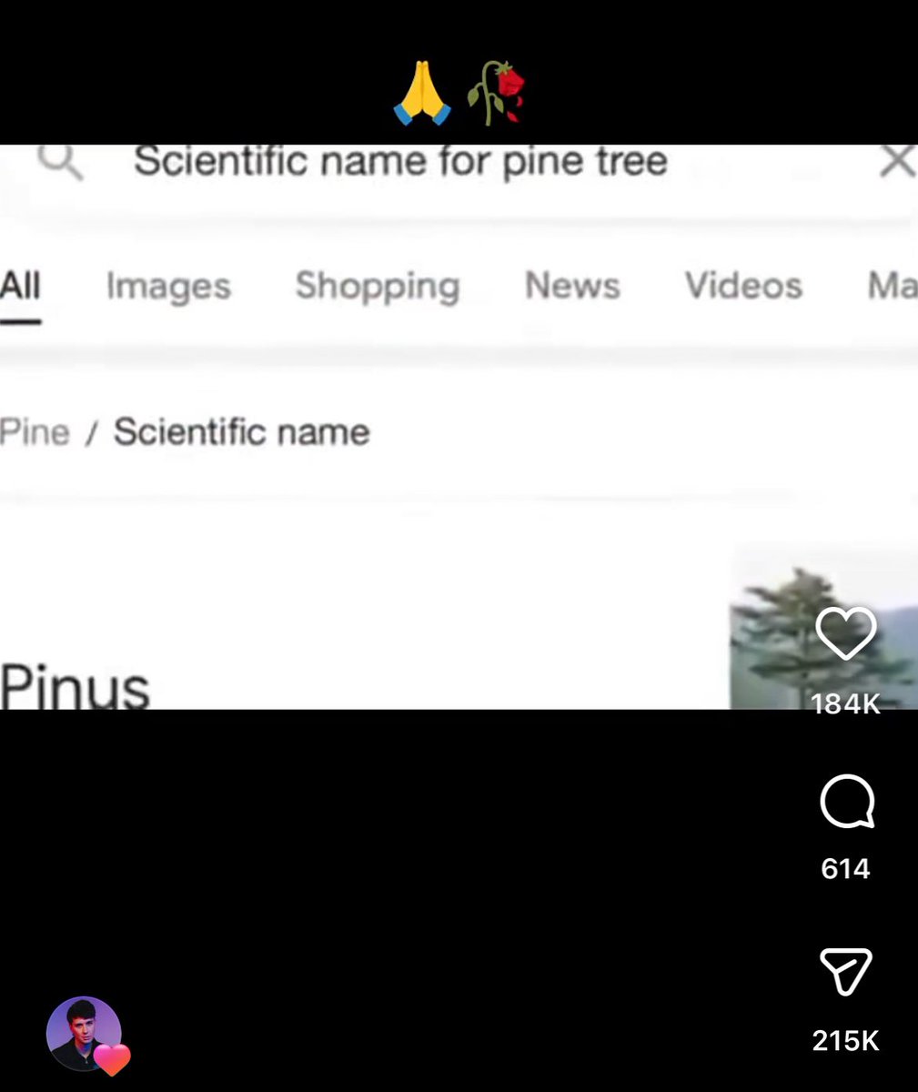 danssquareflake's tweet image. of course he did