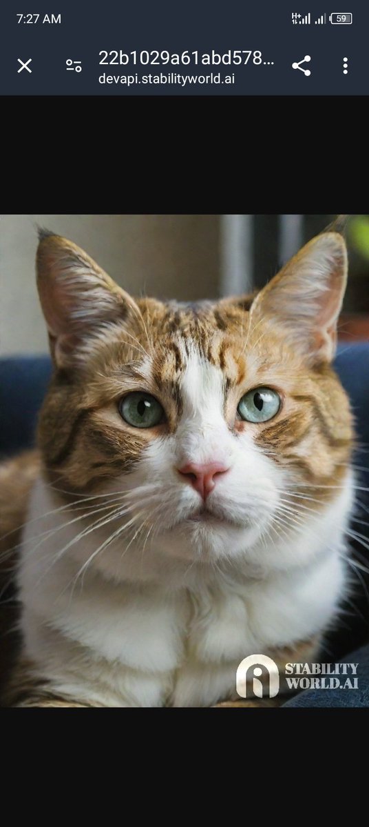 ardonweb3's tweet image. One GM A day can keep the doctors away

Can I get a GM?