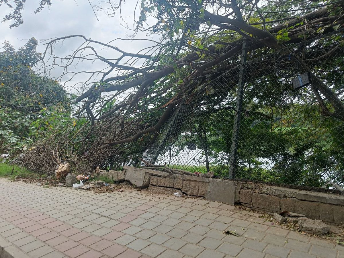 sunilho's tweet image. @GBAChiefComm Sir, saw you inspecting Hebbal Lake - Service road this morning. Hope you were able to observe this lake barricades are giving into the lake along with some trees.  Request you to get this reinforced suitably. there is a fallen light pole being held by tree branches
