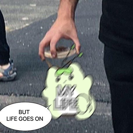 햄주인 tweet media