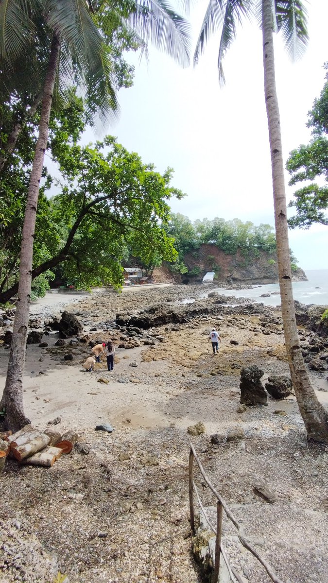 Pratistha tweet media