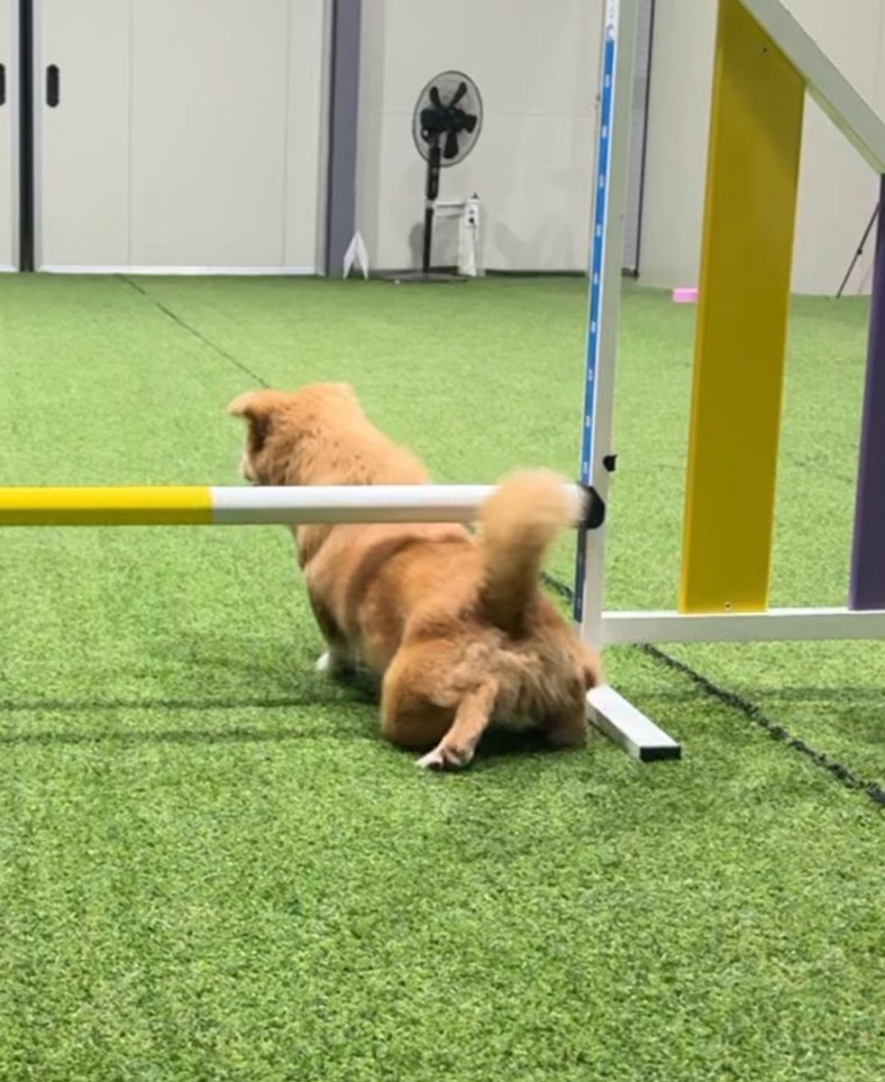 ttakbam_kim's tweet image. ?