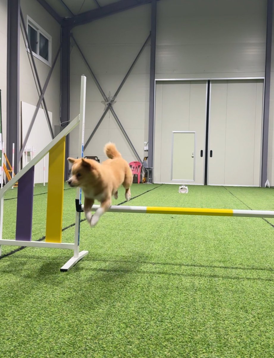 ttakbam_kim's tweet image. ?