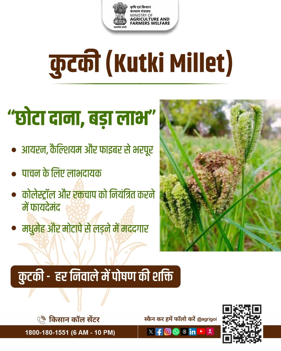 AgriGoI's tweet image. कुटकी -  हर निवाले में पोषण की शक्ति!

आयरन, कैल्शियम, फाइबर और कई आवश्यक पोषक तत्वों का उत्तम स्रोत।

#AgriGoI
#Millets
#ShreeAnna
#HealthyNutrition