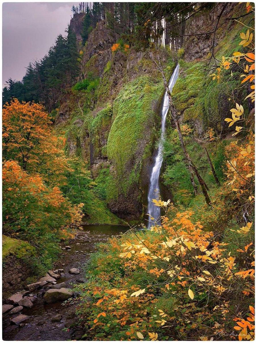 Horsetail falls- columbia river gorge.
