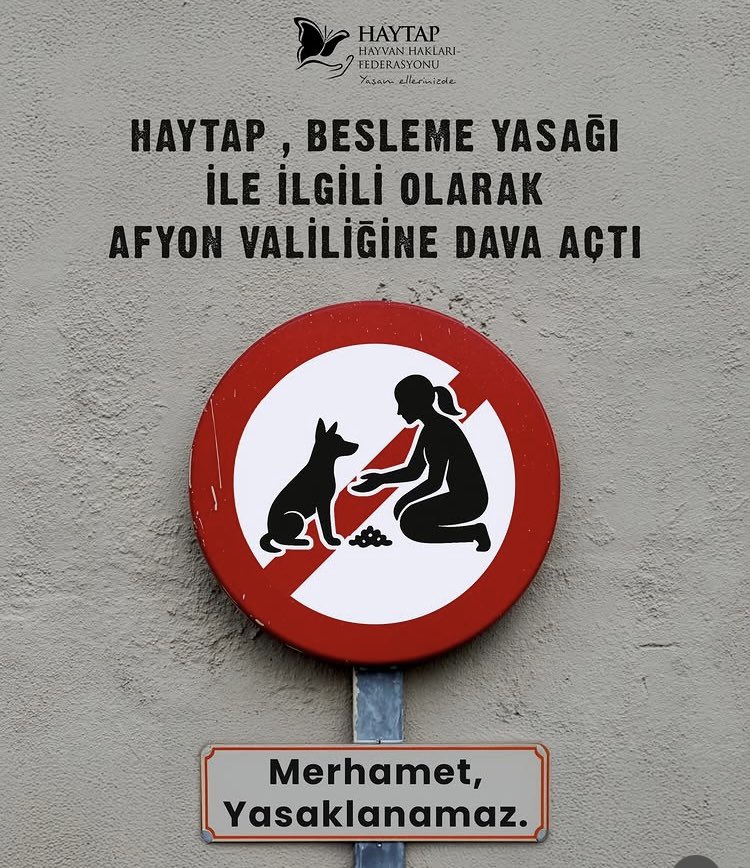 TCaysimozsoy's tweet image. 