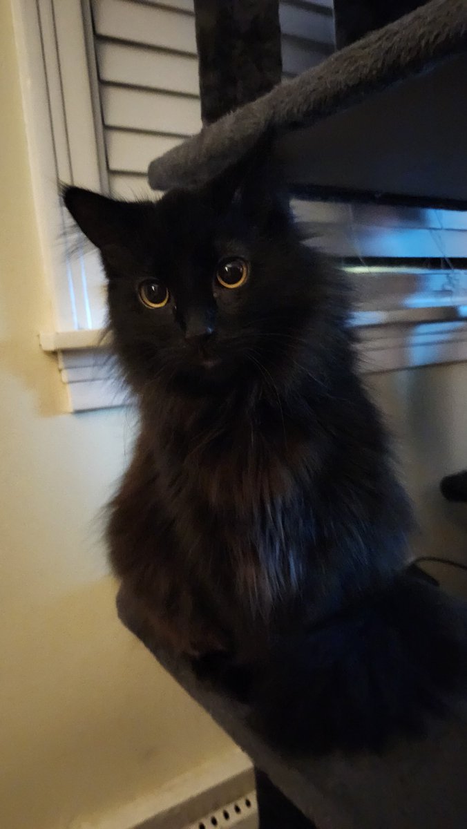 She's such a big girl now, it's not fair

Where is my orb