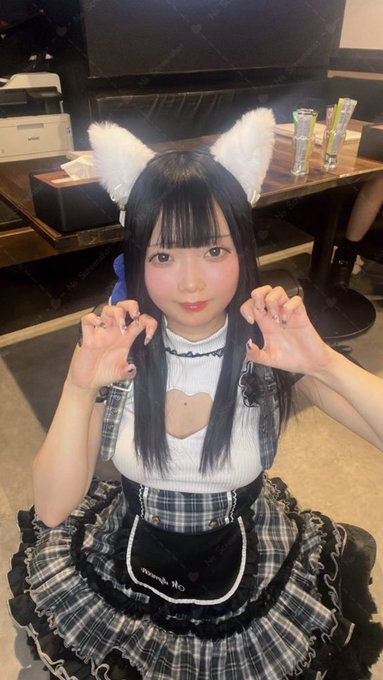 プレミアムメイドバー　ツインテールのツイート