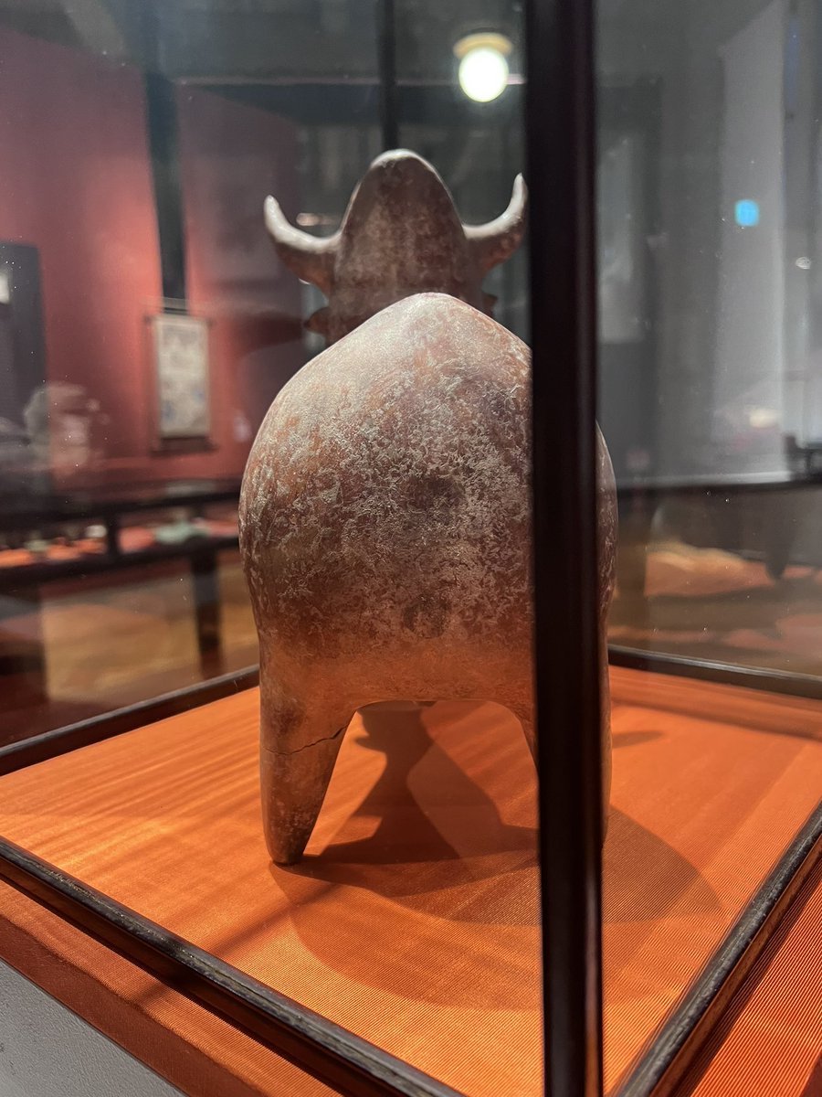 gomi_kvzv_tarov's tweet image. こぶうしのこぶ