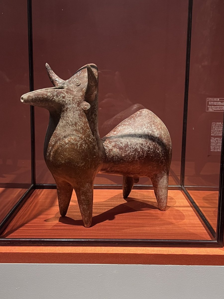 gomi_kvzv_tarov's tweet image. こぶうしのこぶ