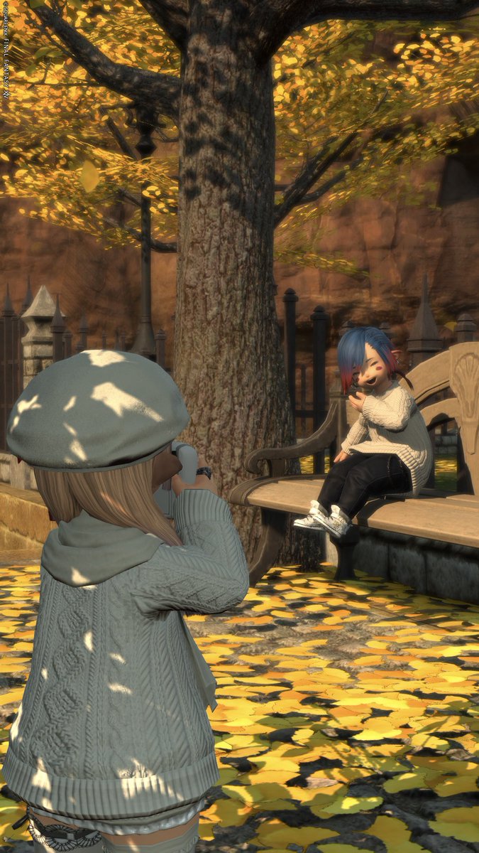 生きてます
これはいい夫婦の日のプチデートです