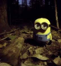 Buffalo Optimism Meter tweet media