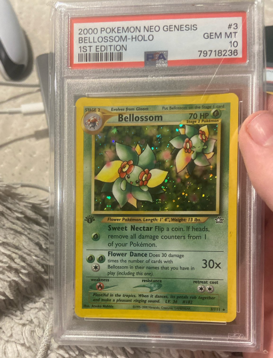 Aggron's tweet photo. Pickups from #collectacon https://t.co/t3UriRF388
