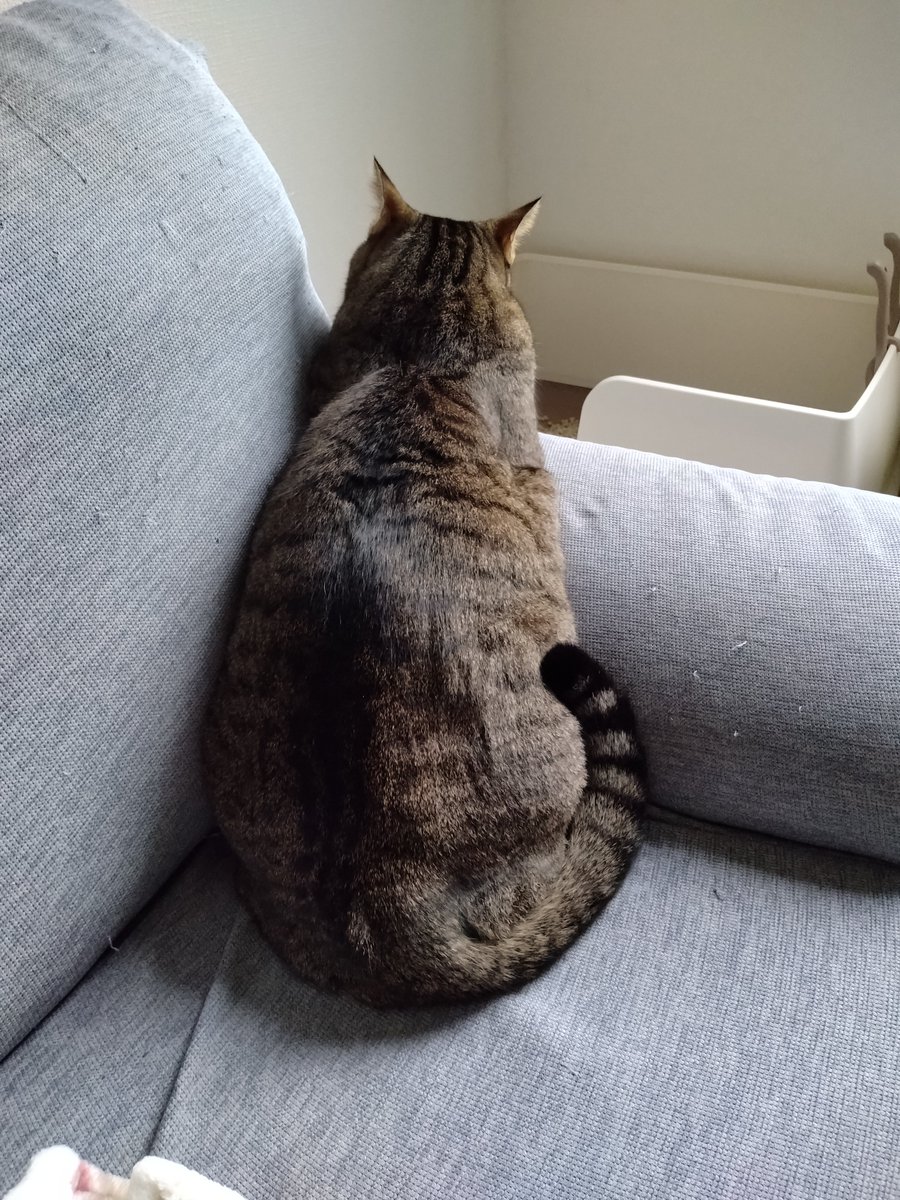 まぁ-ﾁｬﾝ (@makitan0110) / Posts / X