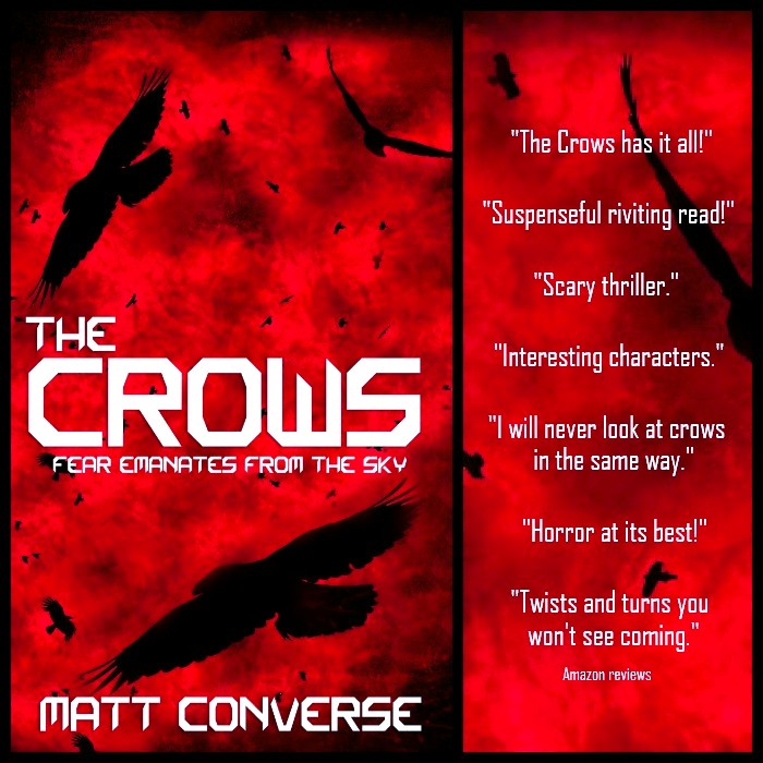 My latest release The Crows has been selected to appear as a featured book on BookBub! They turned down my last five books, so I'm surprised and thrilled. I'm looking forward to December 8th and The Crows flying high. #horrortale #thrillerbooks #bookbub