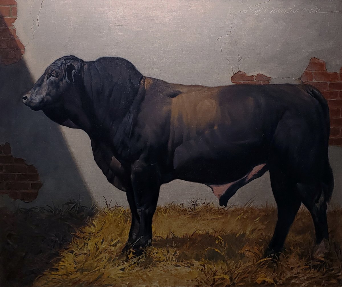 AdrianM80554151's tweet photo. "Brangus Bull" oil painting by Adrian Martinez. 30" x 36" Oil on canvas.
ADRIAN MARTINEZ SOLO EXHIBITION
CHURCH STREET GALLERY
EXHIBITION OPENS Sat. Dec. 6, 2025
Sneak Peak 12–4pm
Opening Reception 5–8pm
GALLERY TALK WITH ADRIAN MARTINEZ Thurs. Dec.18, 7pm https://t.co/ERCzHKIOhW