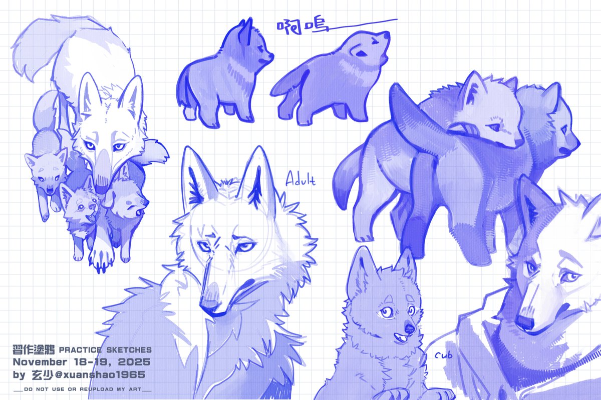 xuanshao1965's tweet image. 【習作塗鴉】#sketches
November 18-19, 2025

狼狼小朋友苦手……🐺
Drawing cubs is really difficult for me... (I&apos;ll keep trying👊)

#xuanshao_art