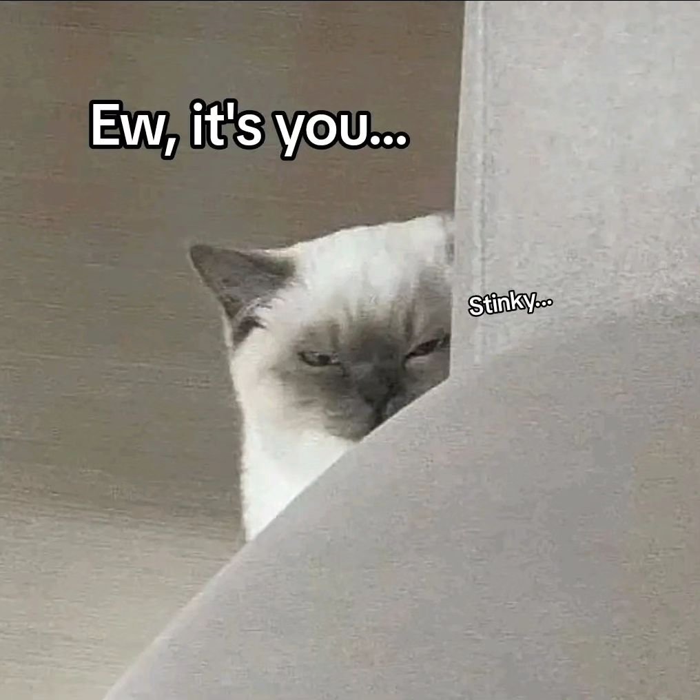 PunchingCat's tweet image. 