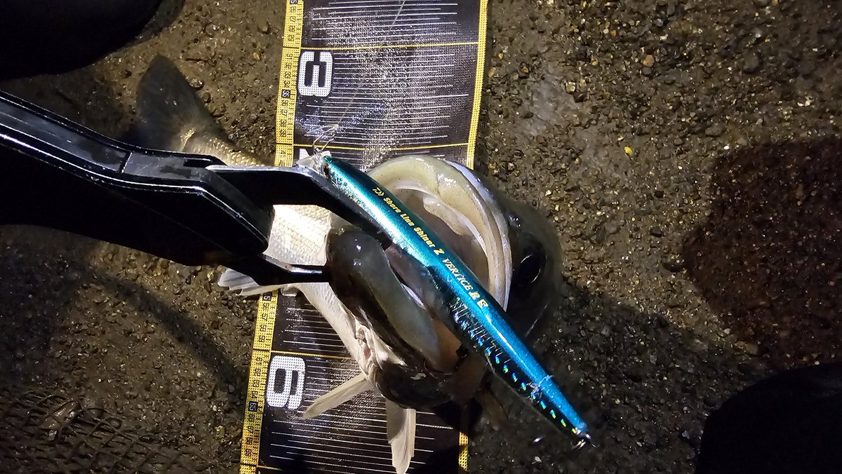 中馬貴寛 tweet media