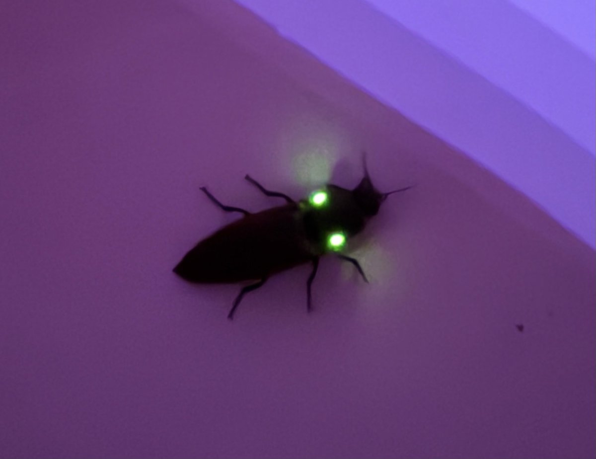 Dr. Simon Goddek tweet media