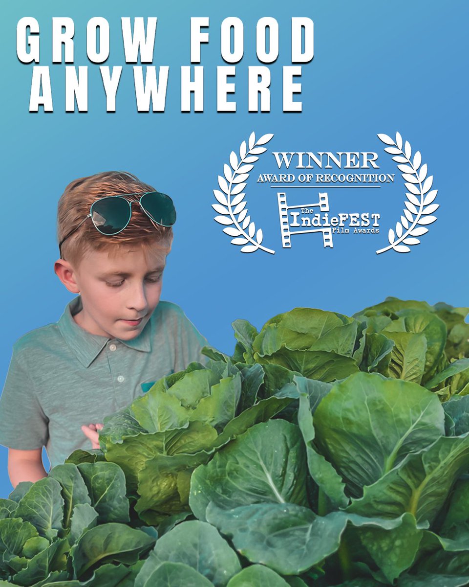kassicrews's tweet image. Grateful for "Award of Recognition: Web Series" from The IndieFEST Film Award for GROW FOOD ANYWHERE - a blueprint for a sustainable future, where food is medicine! What here:  youtube.com/@OURCOMMONUNITY   Please like, subscribe and share!  #UrbanFarming #FoodActivism