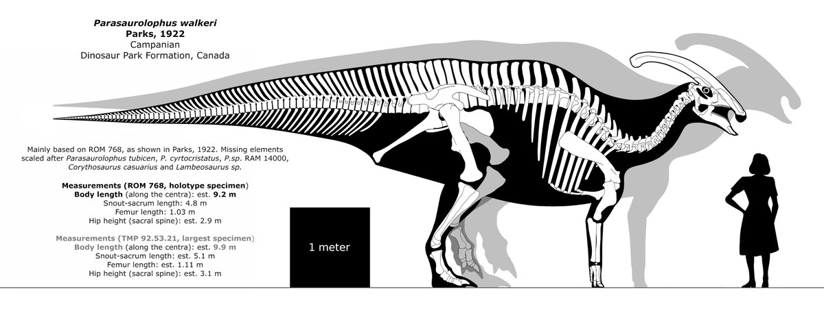 The iconic head crest of Parasaurolophus had a series of internal channels that could have created trombone- or tuba-like sounds as the animal blew air into them, making it one of the very few dinosaurs for which we can actually try to reconstruct the original sounds.