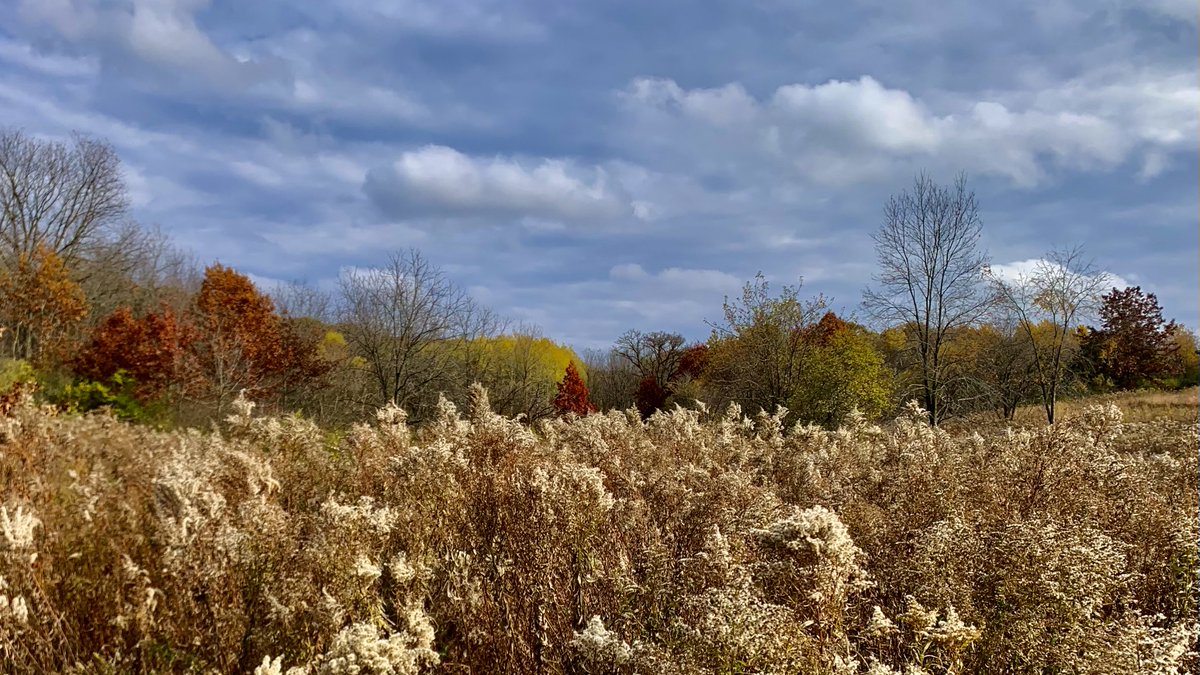 KeithKaters's tweet photo. As the seasons change, I shift from one outdoor activity to another. Right now it’s a move from cycling to hiking. As the rich fall colors fade — except for the stubborn leaves that may hang on through winter — I’ll keep following the seasons. #nature #hiking #iceagetrail https://t.co/n30Fqty7jO