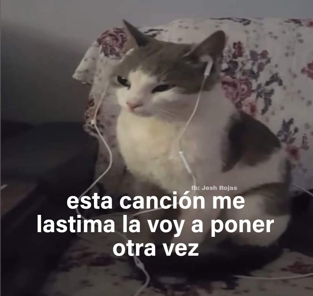 En Júpiter (@en_jupiter_) on Twitter photo 