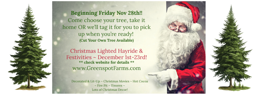 Greenspotfarms's tweet photo. Visit Greespot Farms, make it a Christmas-Time tradition! 🎄🎅 https://t.co/hfZbwqJo2d