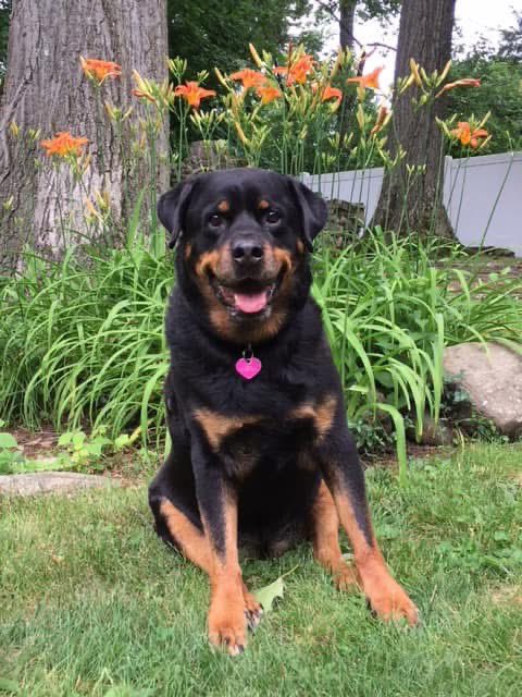 Susan Paskas Downey tweet media