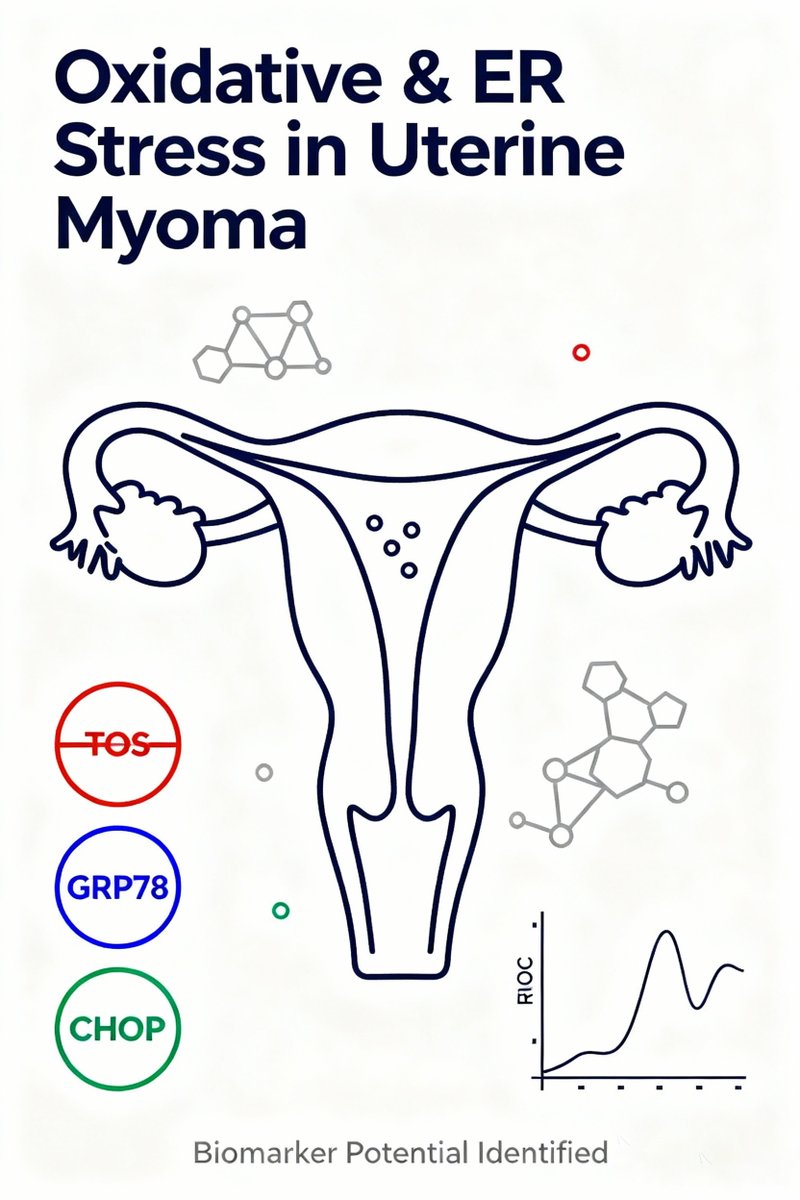 EJGO_1980's tweet photo. 🩸Uterine myomas crank up ER stress & oxidative damage: GRP78/CHOP sky-high (AUC 0.95–0.97)! 🔥 #UterineFibroids #ERStress #OxidativeStress
🏠Affiliation:@cumunivkurumsal ,@tcktu1955 ,@cumunivkurumsal
📚Read more:https://t.co/xTNcdq8TnU https://t.co/mTiSFGzcdI
