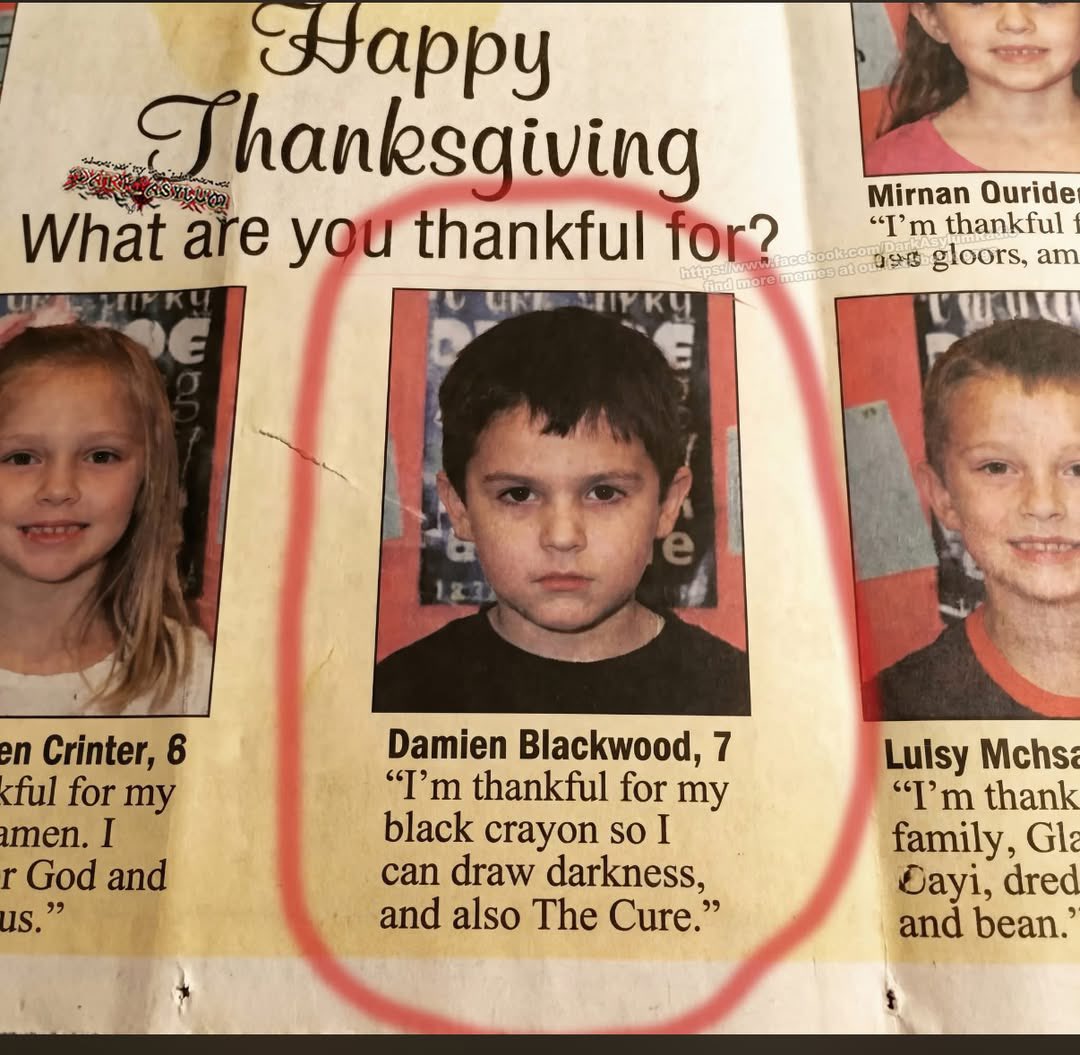 Yurt Rock tweet media