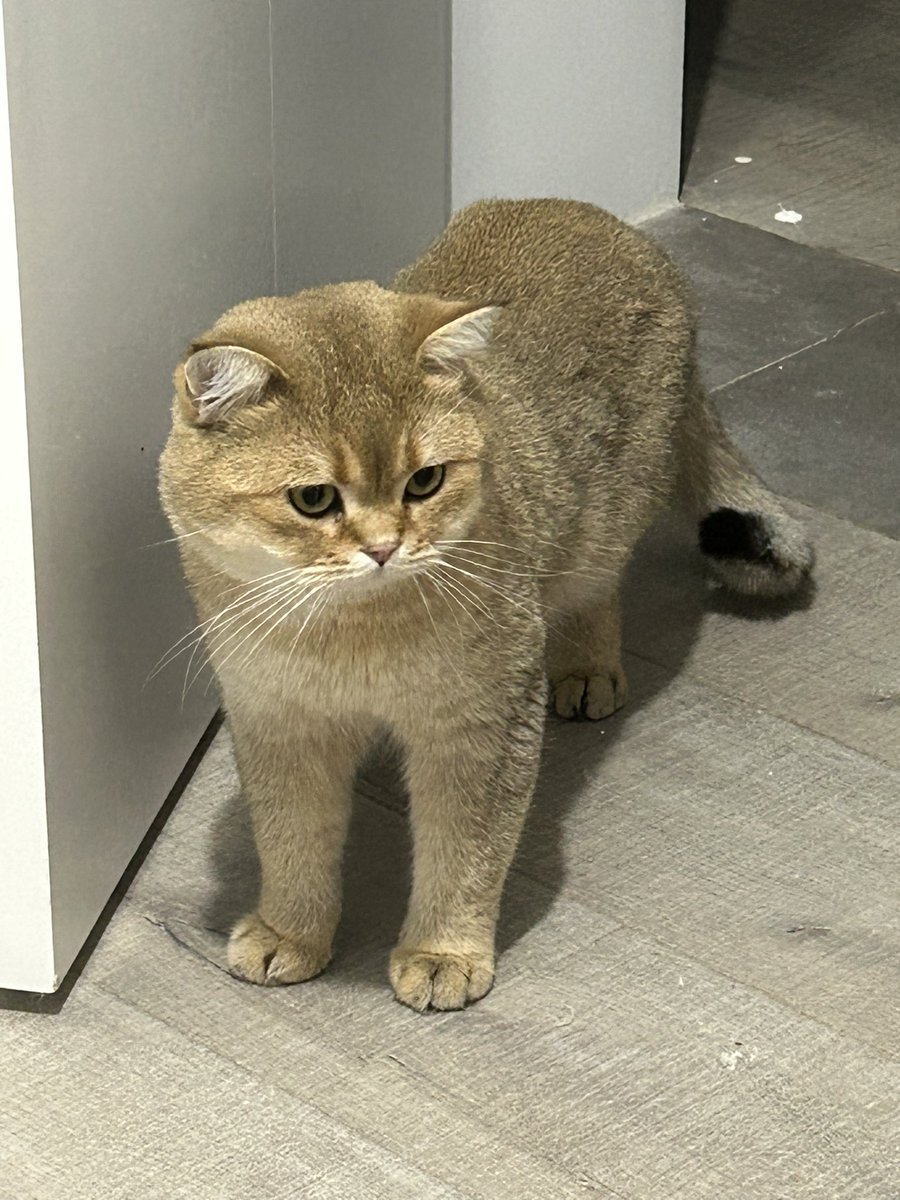 txl是一种怎么深入都不会产生感情的物种！