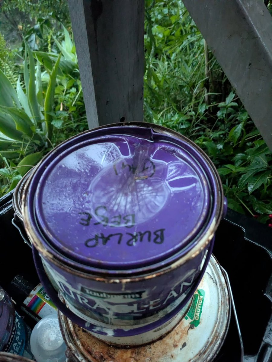 weatherzone's tweet photo. "This did this to a paint tin. Glad it wasn't my noggin." 

📷😱 Thanks to Ryan Connolly [IG: ryan_conno] for sharing these photos from the #hailstorm in #Cornubia, Qld, on Sunday, Nov 23, 2025. https://t.co/otaiTbMzS4
