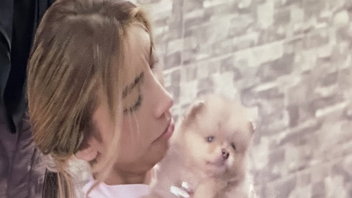 Debbie’s Mole tweet media